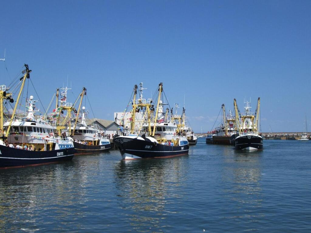 A Modern And Cosy Apartment Just Yards From Brixham'S Bustling Harbourside Dış mekan fotoğraf